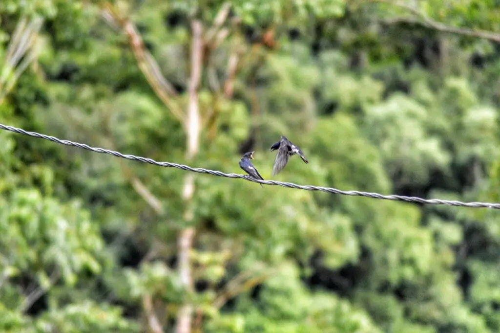 Mediation & Konfliktlösung | München & Rosenheim 8 Scheidungsmediation