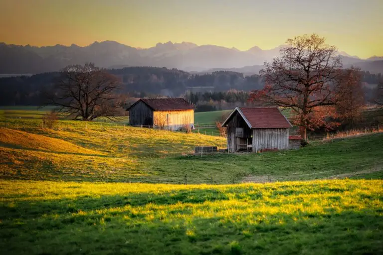 Hügellandschaft mit Stadeln und Bergen im Abendlicht
